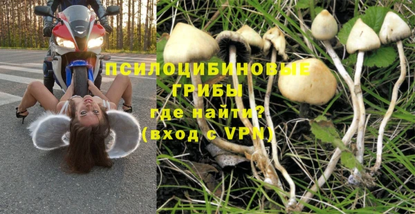 прущая мука Алзамай