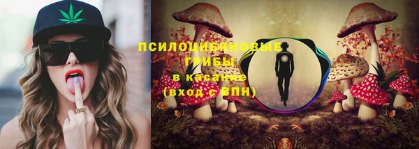 прущая мука Алзамай