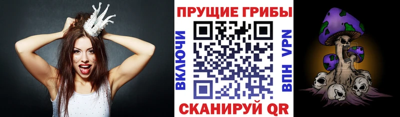 Псилоцибиновые грибы Magic Shrooms  мега ссылки  Ставрополь 