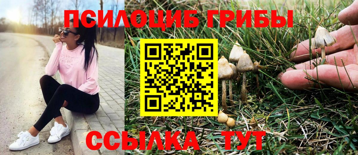 купить наркотик  Галлюциногенные грибы MAGIC MUSHROOMS  Галлюциногенные грибы ЛСД  Вход с VPN  Ставрополь 