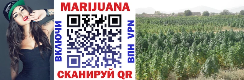 Конопля OG Kush закладки mega ссылка дарк нет телеграм Ставрополь
